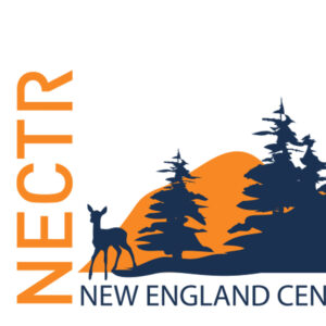 New England Center for Transportation Resiliency