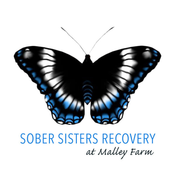 Sober Sisters Recovery Nonprofit Website Design