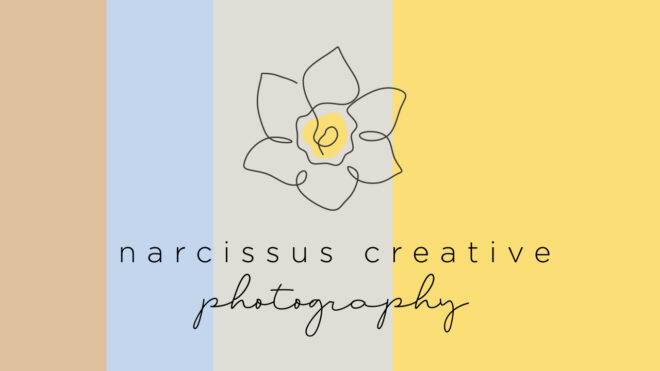 Narcissus Creative