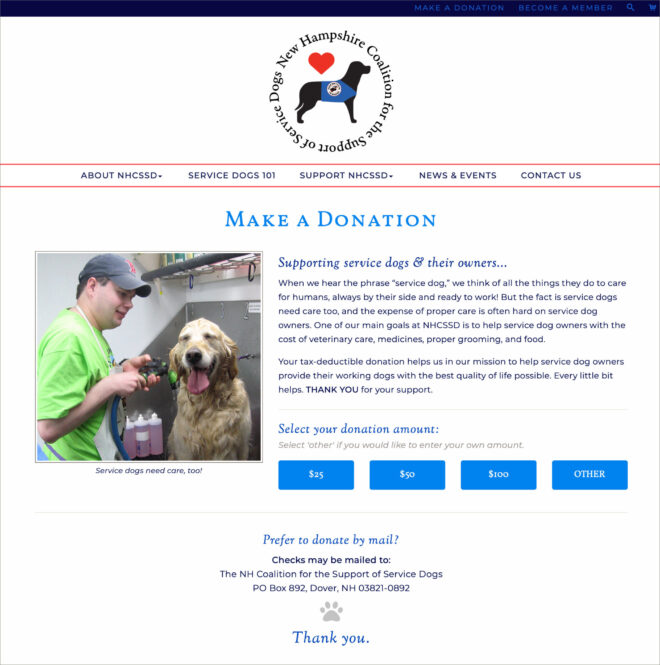 online donation page