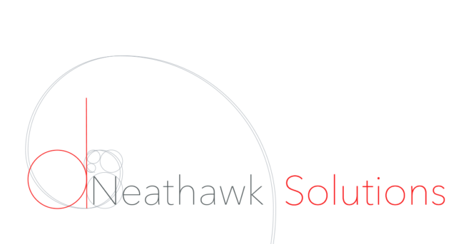 d.Neathawk Solutions logo design