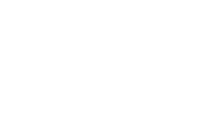 Curio Museum Design